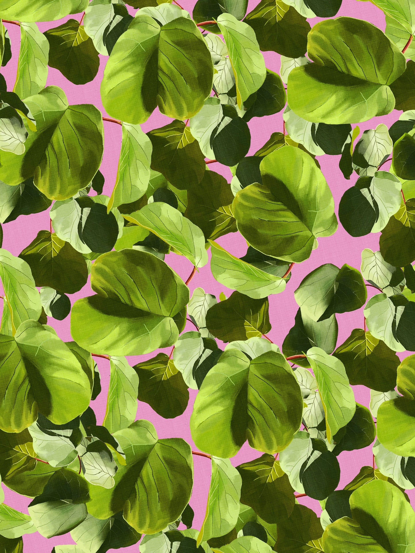 Kiwi Leaves Green