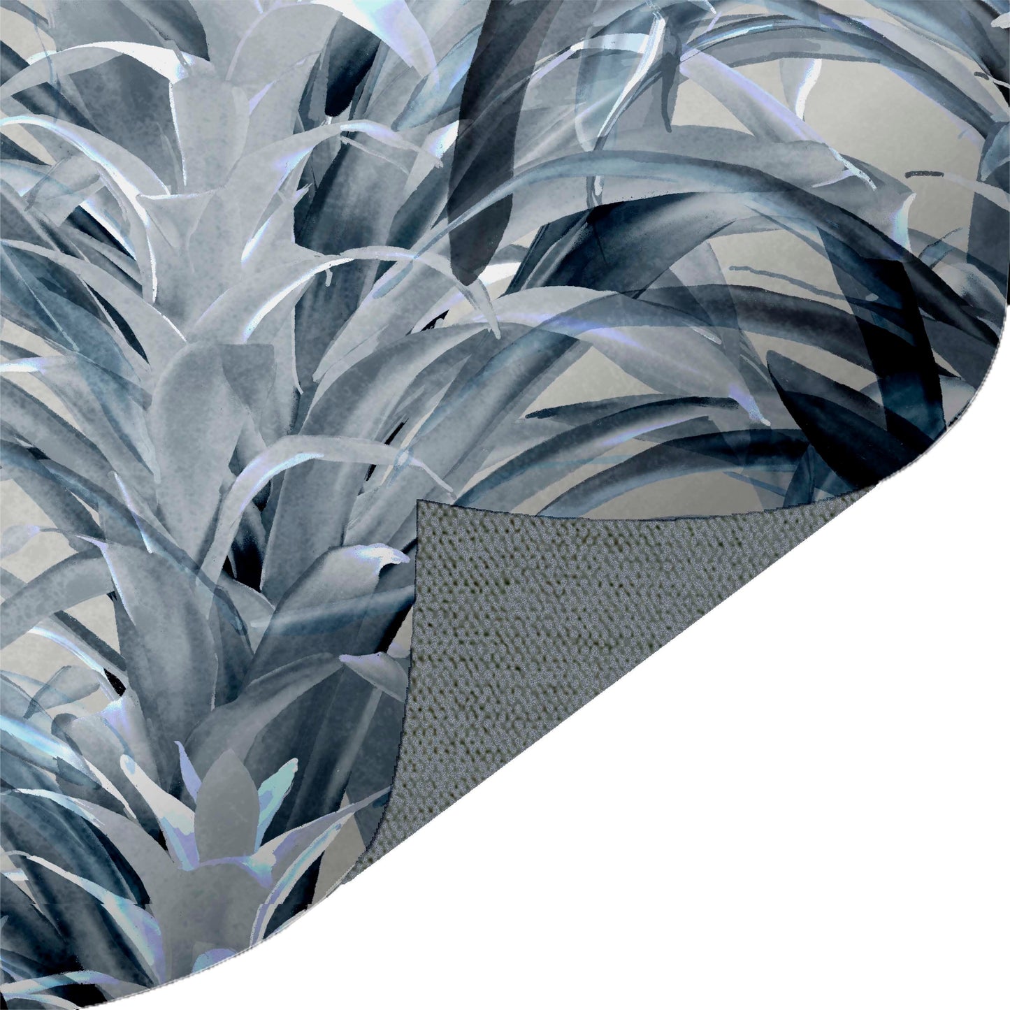 Bromeliads Silver
