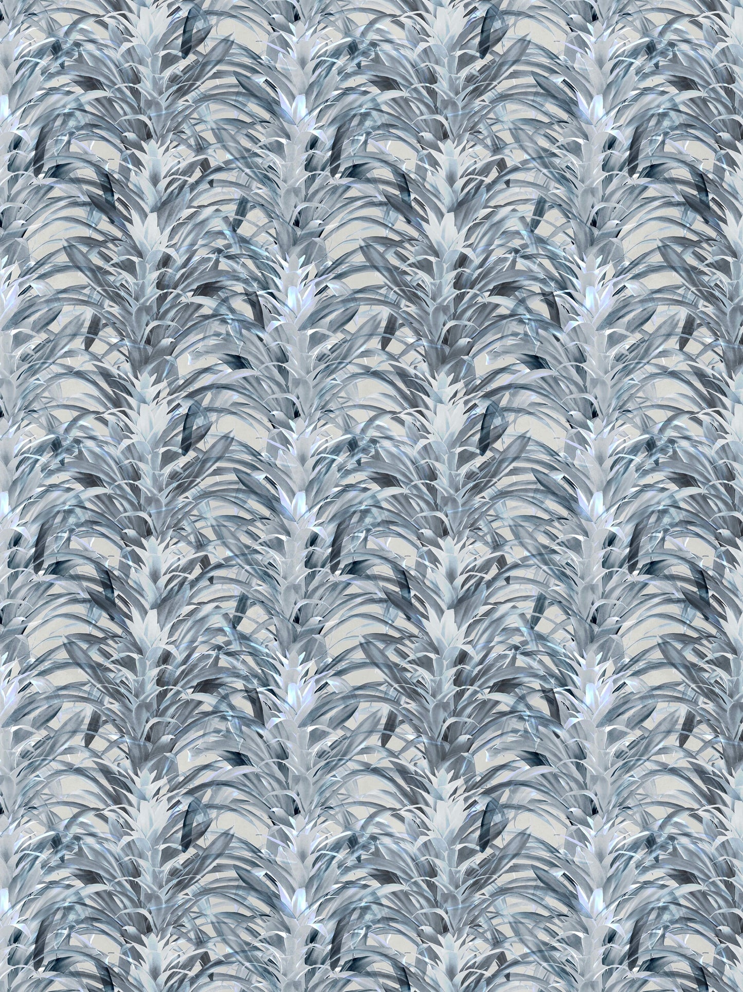 Bromeliads Silver
