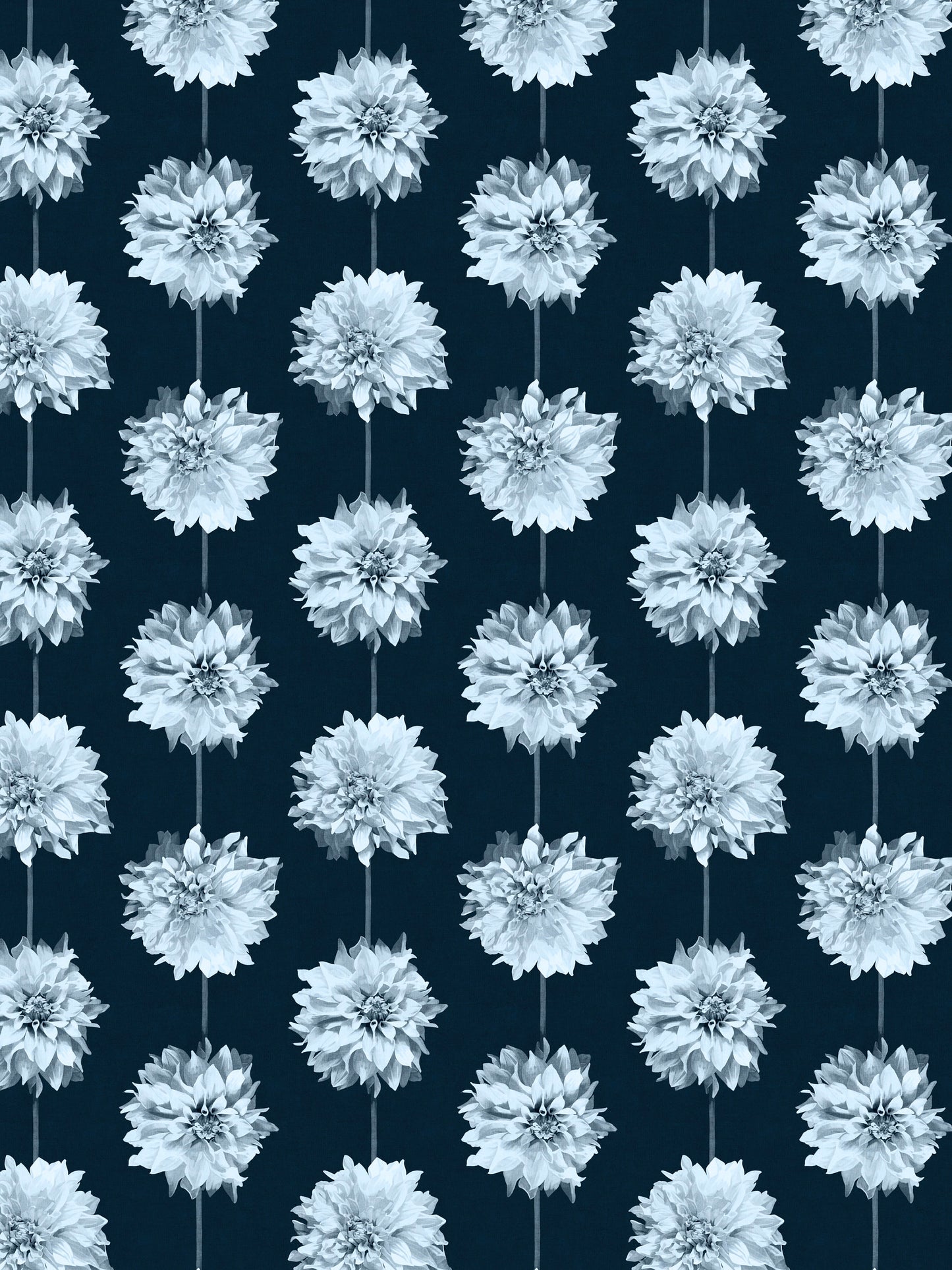 Dahlia Navy