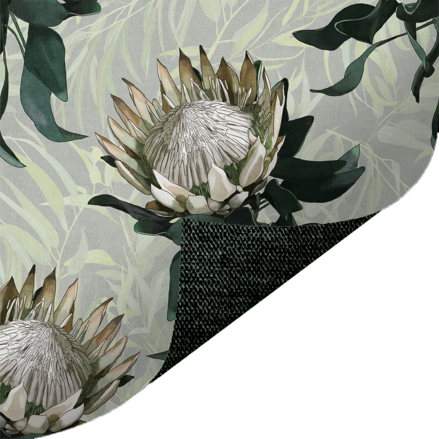 Empress Protea Creme