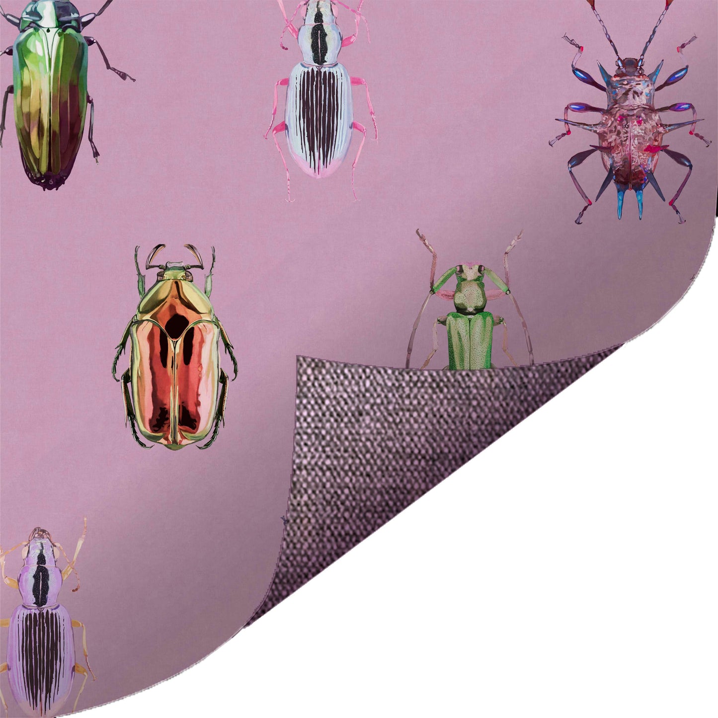Bug Imaginarium Pink
