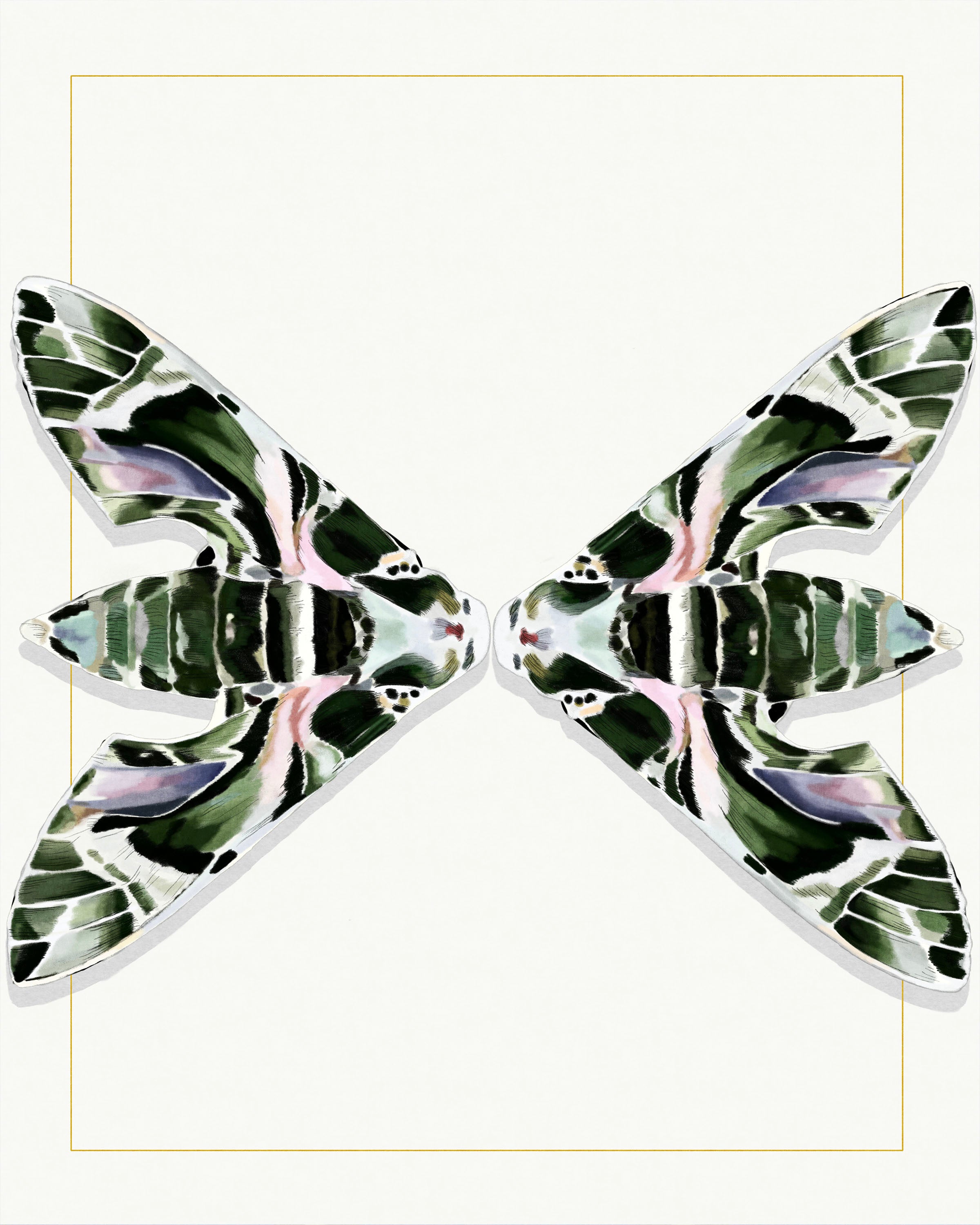 Moth Love Rokz Moth Love – WorldofMIM
