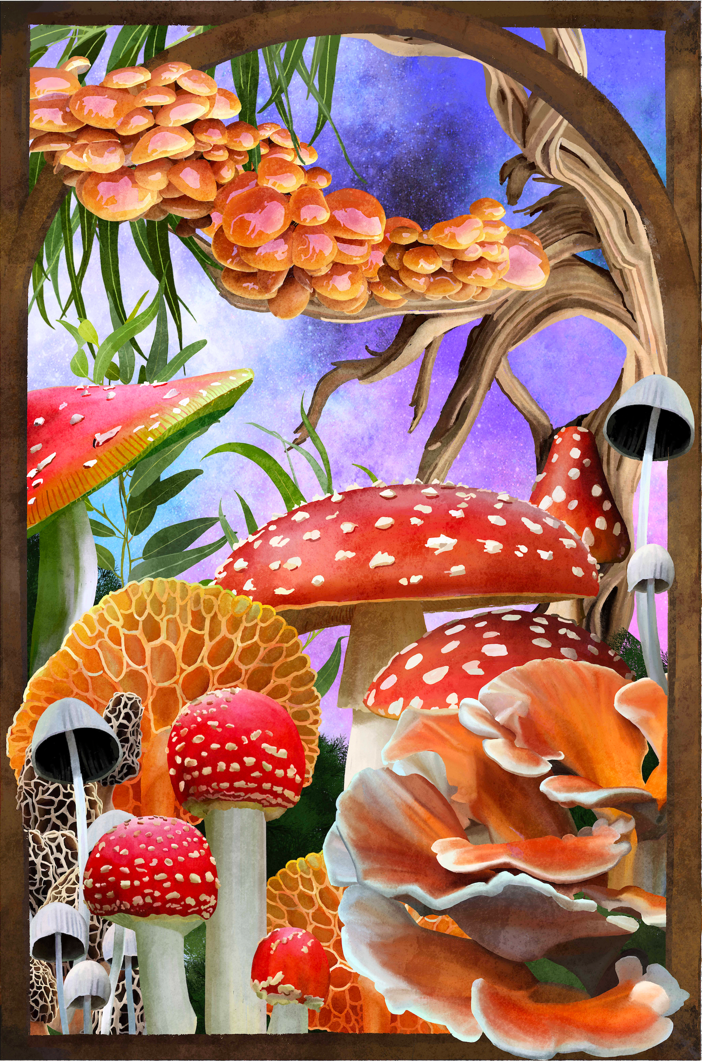 Mushroom Window