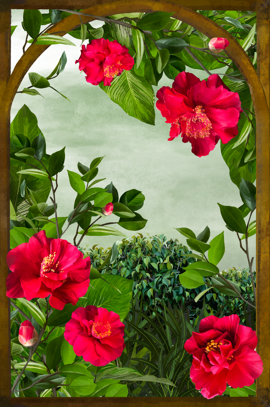 Camellia Window