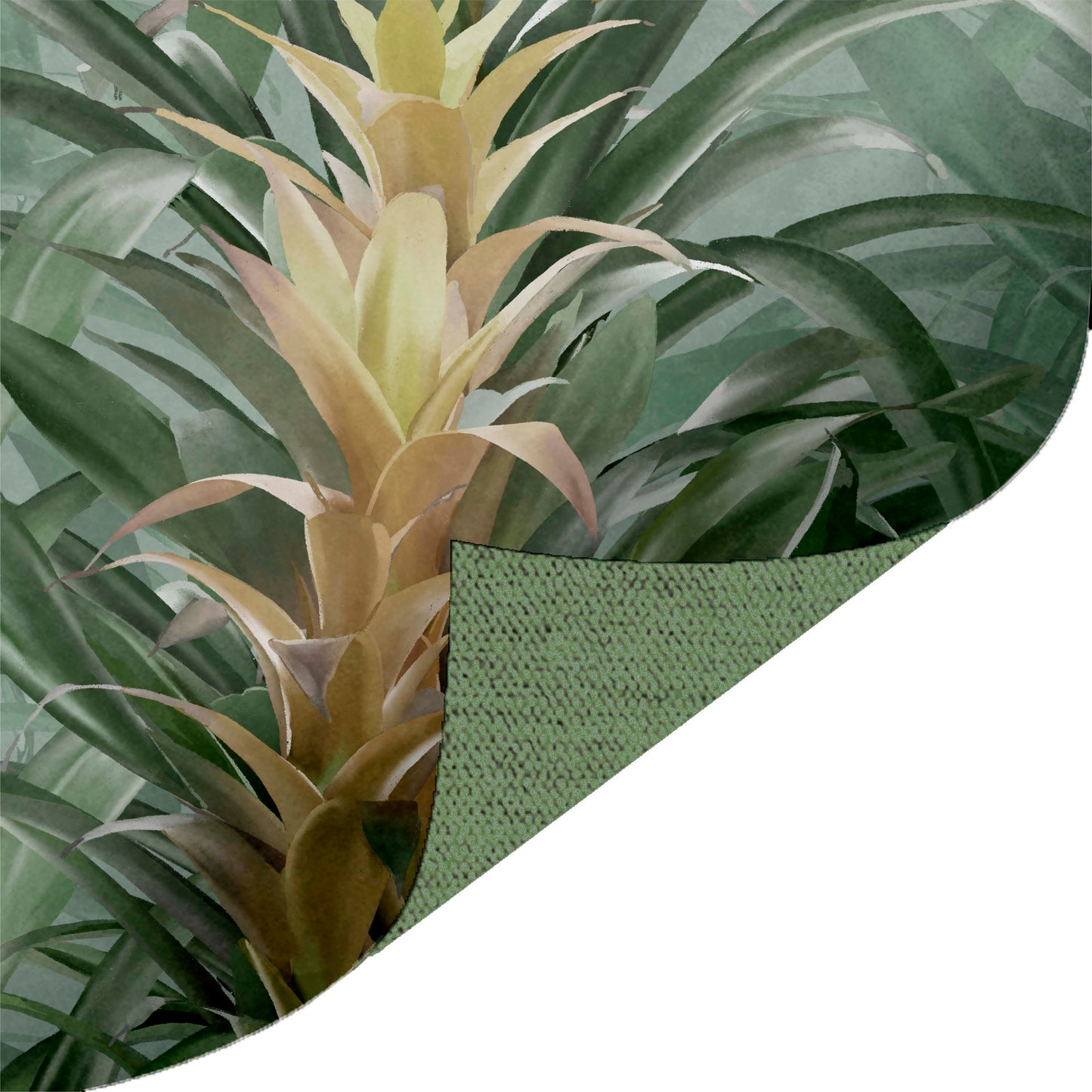 Bromeliads Green