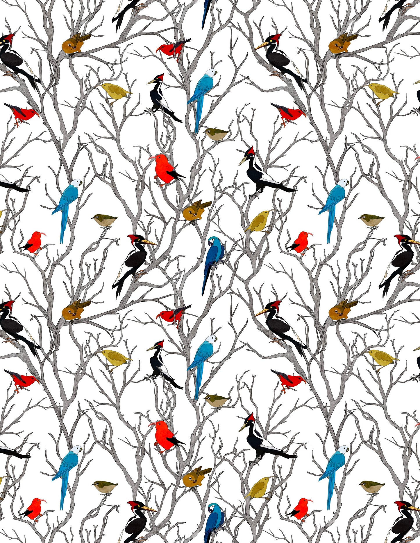 Birds of Time Multicolor