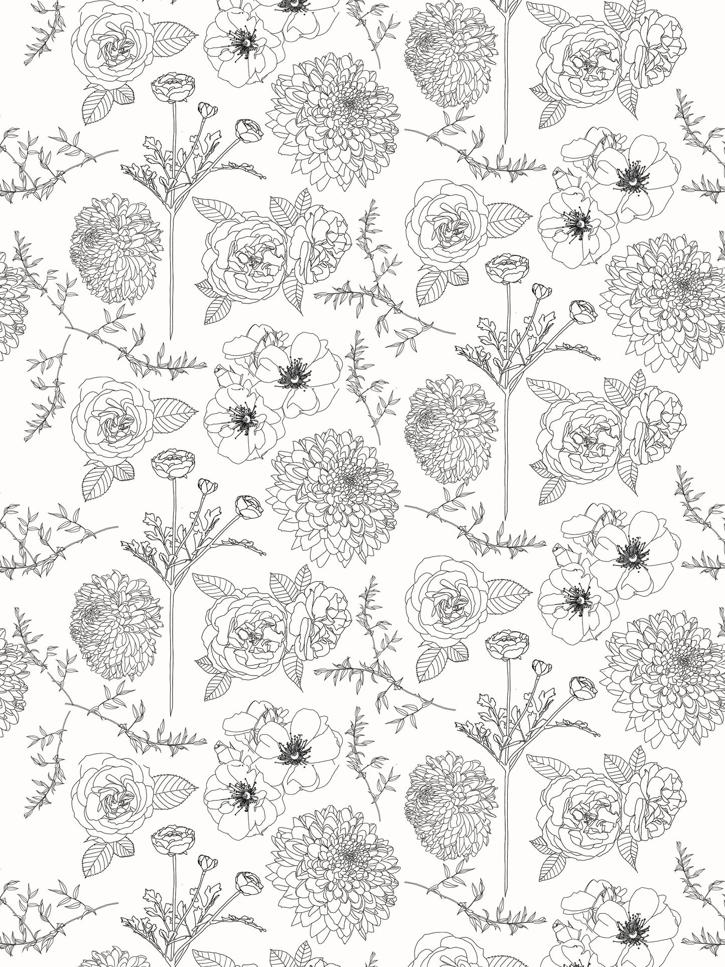 Floral Lines Black and White