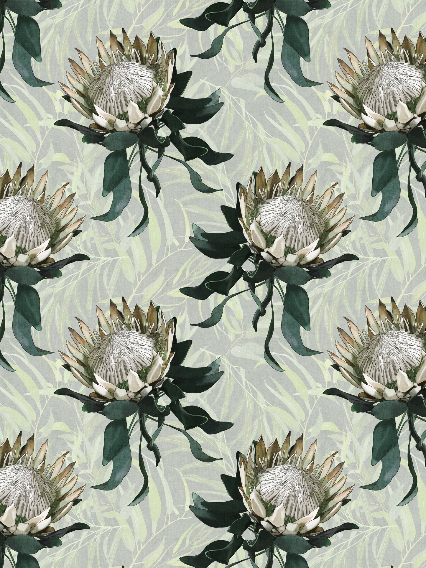 Empress Protea Creme